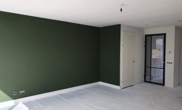 Renolvies en latex spuiten Bergschenhoek kleur groen